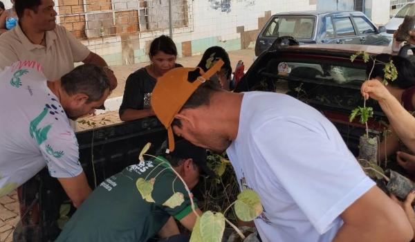 Imagens da SECRETARIA  DO MEIO AMBIENTE REALIZA DISTRIBUIÇÃO DE MUDAS