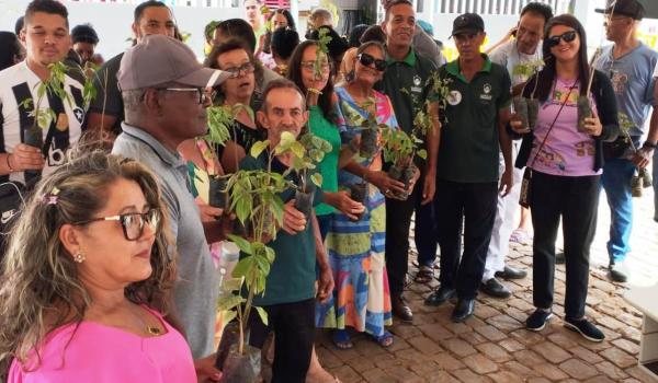 Imagens da SECRETARIA  DO MEIO AMBIENTE REALIZA DISTRIBUIÇÃO DE MUDAS