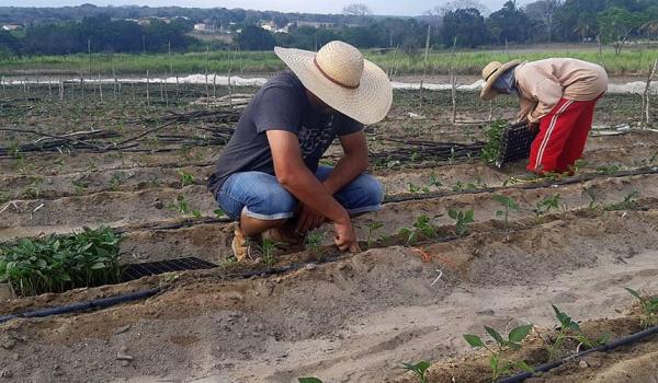 Imagens da SECRETARIA MUNICIPAL DE AGRICULTURA REALIZA O CADASTRO DO GARANTIA SAFRA