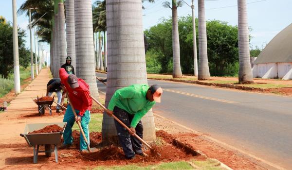 REQUALIFICAÇÃO DA ENTRADA DA NOSSA CIDADE REQUALIFICAÇÃO DA ENTRADA DA NOSSA CIDADE